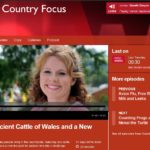Ancient Cattle of Wales on Radio Wales